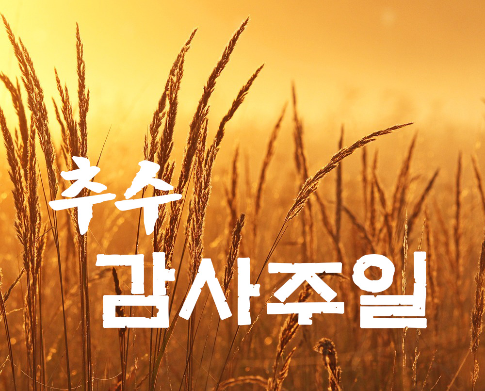 North Shore ArumDawn Church | 추수감사주일